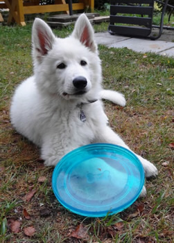 Elisha mit Lieblingsspielzeug elisha